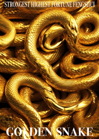 Golden Snake Lucky 43