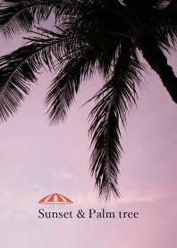 sunset and palm tree 3