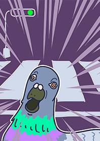 Pigeons on the road1.0