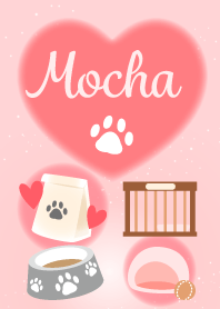 Mocha-economic fortune-Dog&Cat1-name