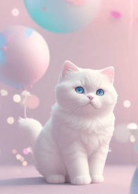 British Shorthair White