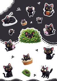 Cute Black Kitty