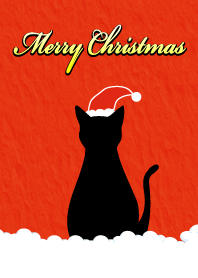 Black cat's everyday 3 Christmas part!