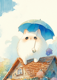 煩惱下雨天の白貓❤️