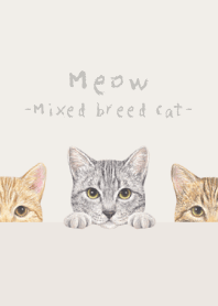 Meow-Mixed breed cat 03-PASTEL IVORY