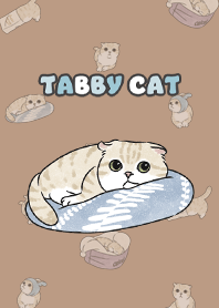 creamtabby3 - mocha