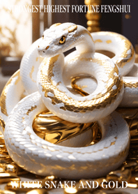 White snake and gold  Lucky 54