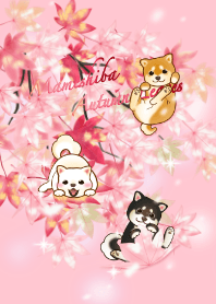 Shiba dogs with autumn leaves