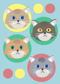 Cat quartet 3