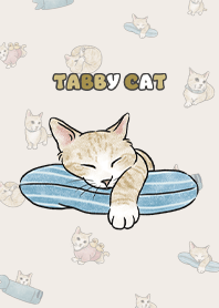 creamtabby2 / light cream