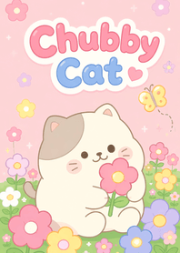 Chubby Cat .