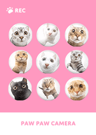 Paw Paw Camera -  Pink 01