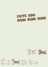 Cute dogs run run.Brown2
