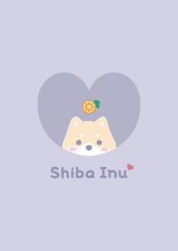 Shiba Inu2 Orange - purple