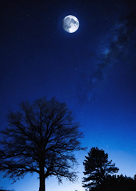 Mountain, Sea, and Moonlit Night 1b8a09