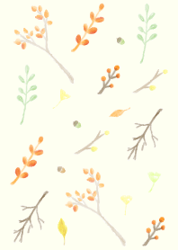 Autumn plants !