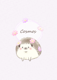 Hedgehog and Cosmos* -purple-