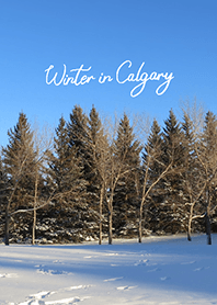 Winter in Calgary (24)