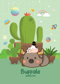 Buffalo&Cow Cactus  Lover Pretty