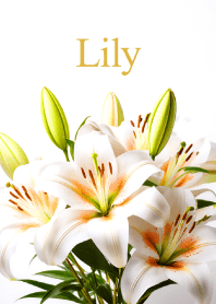"Lily vol.6" theme