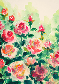 Beautiful rose flower(R4649)