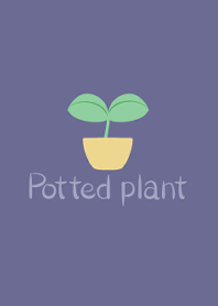 Simple -Potted plant-