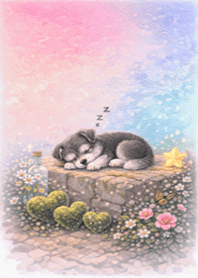 Dog Pink Blue Afternoon