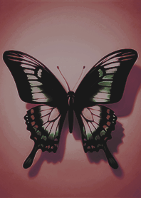 Simple beauty spread wings butterfly 15