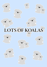 LOTS OF KOALAS/BLUE GRAY