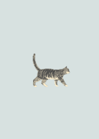 theme of a cat (silver tabby at a dike)