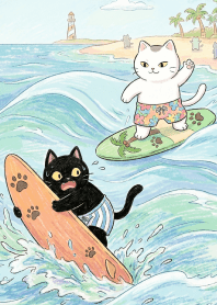 麻糬貓，去衝浪