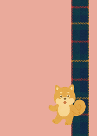 Cool Shiba Inu03 on pink & blue