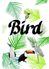 Bird paradise