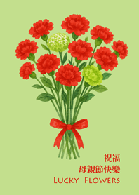 送媽媽一束康乃馨-淺綠色