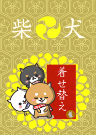 Japanese midget Shiba 3