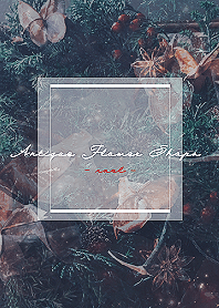 Antique Flower Shops -noel-