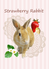 sweet rabbit & strawberry