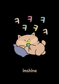 寝そべるかわいい柴犬