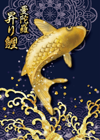 【超金運上昇】曼陀羅と黄金の昇り鯉
