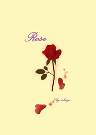 Rose by ichiyo