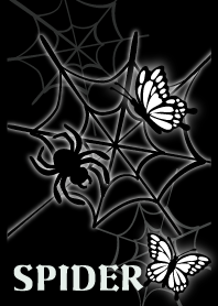 SPIDER and SPIDER WEB 4.