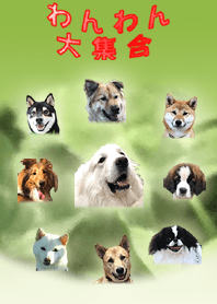 わんわん大集合