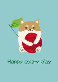 Shiba Inu - スウィートチェリー