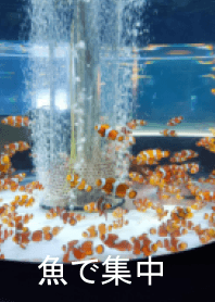 heal with small fish