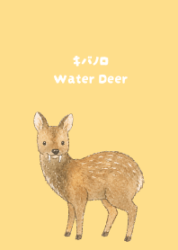 brown & yellow　キバノロ