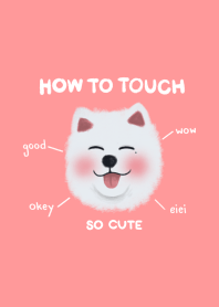 HowToTouch
