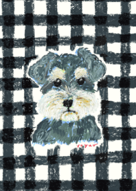 Schnauzer and Black Check