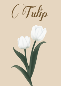 tulip flower.