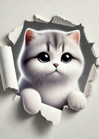 にゃんこーず15