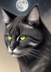 Black cat in the night hHXQZ